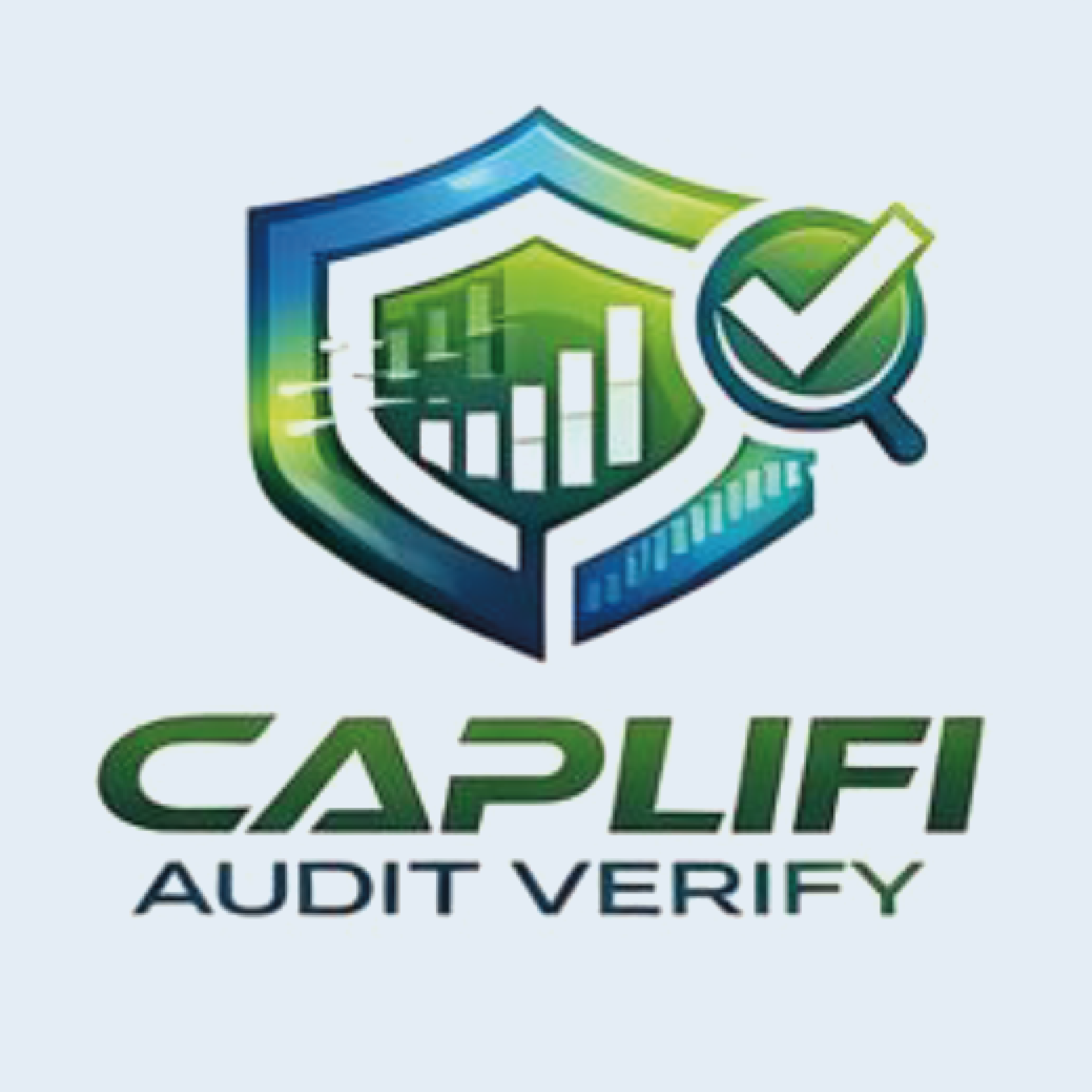 Audit Verify